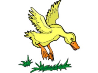 Sticker Custom Preview Image #016641 Animals Birds Duck Landing