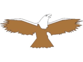 Sticker Custom Preview Image #016661 Animals Birds Eagle01