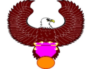 Sticker Custom Preview Image #016664 Animals Birds Eagle04