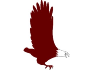 Sticker Custom Preview Image #016665 Animals Birds Eagle05