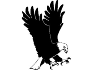 Sticker Custom Preview Image #016667 Animals Birds Eagle07