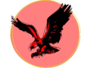 Sticker Custom Preview Image #016676 Animals Birds Eagle16