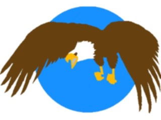 Sticker Custom Preview Image #016680 Animals Birds Eagle20