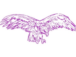 Sticker Custom Preview Image #016685 Animals Birds Eagle25