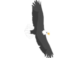 Sticker Custom Preview Image #016687 Animals Birds Eagle27