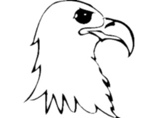 Sticker Custom Preview Image #016697 Animals Birds Eagle37