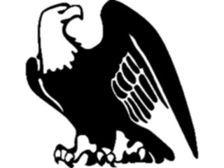 Sticker Custom Preview Image #016699 Animals Birds Eagle39