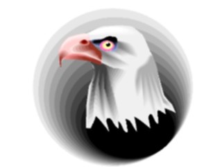 Sticker Custom Preview Image #016702 Animals Birds Eagle42