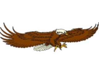 Sticker Custom Preview Image #016703 Animals Birds Eagle43