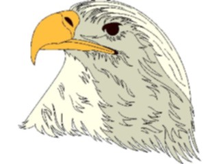 Sticker Custom Preview Image #016705 Animals Birds Eagle45