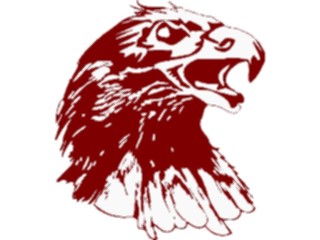 Sticker Custom Preview Image #016711 Animals Birds Eagle51