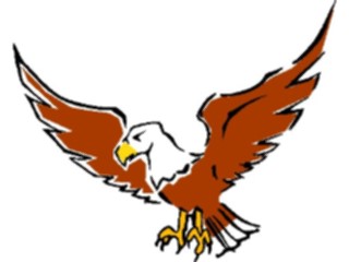 Sticker Custom Preview Image #016714 Animals Birds Eagle54
