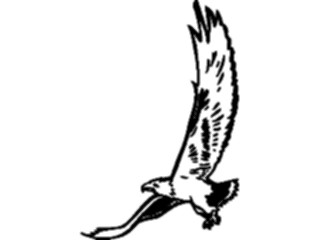 Sticker Custom Preview Image #016715 Animals Birds Eagle55