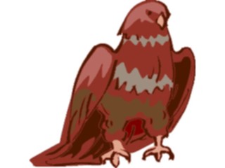 Sticker Custom Preview Image #016716 Animals Birds Eagle56