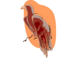 Sticker Custom Preview Image #016717 Animals Birds Eagle57