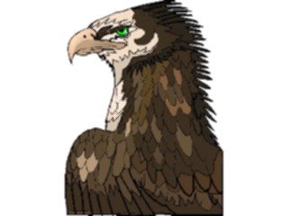 Sticker Custom Preview Image #016719 Animals Birds Eagle59