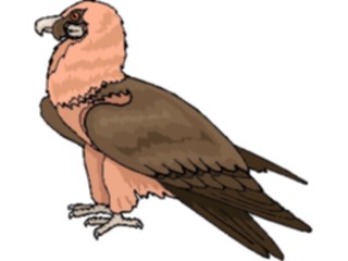 Sticker Custom Preview Image #016722 Animals Birds Eagle62