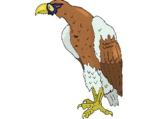 Sticker Custom Preview Image #016726 Animals Birds Eagle66