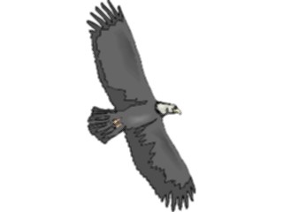 Sticker Custom Preview Image #016728 Animals Birds Eagle68