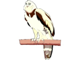 Sticker Custom Preview Image #016733 Animals Birds Eagle73