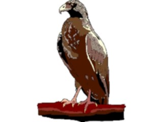 Sticker Custom Preview Image #016734 Animals Birds Eagle74