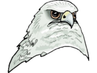 Sticker Custom Preview Image #016735 Animals Birds Eagle75