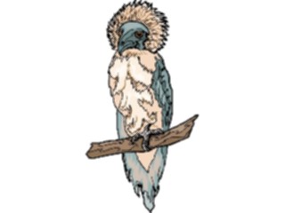 Sticker Custom Preview Image #016741 Animals Birds Eagle Harpy1
