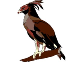 Sticker Custom Preview Image #016742 Animals Birds Eagle Harpy2
