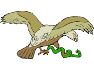 Sticker Custom Preview Image #016743 Animals Birds Eaglewith Snake