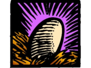 Sticker Custom Preview Image #016744 Animals Birds Egg1