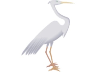 Sticker Custom Preview Image #016750 Animals Birds Egret3