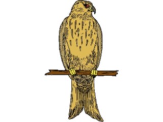 Sticker Custom Preview Image #016759 Animals Birds Falcon04