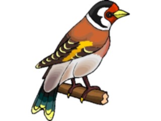 Sticker Custom Preview Image #016783 Animals Birds Finch07