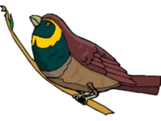 Sticker Custom Preview Image #016784 Animals Birds Finch08