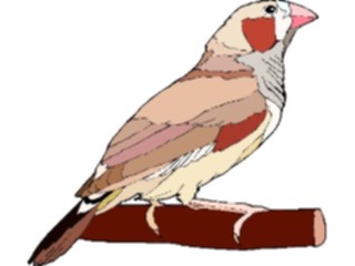Sticker Custom Preview Image #016787 Animals Birds Finch Zebra