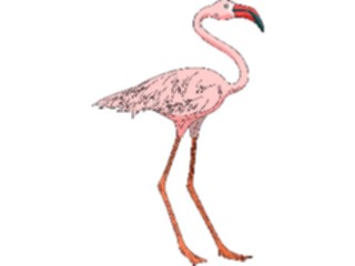 Sticker Custom Preview Image #016791 Animals Birds Flamingo04