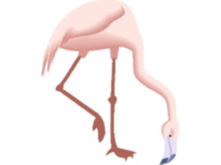 Sticker Custom Preview Image #016794 Animals Birds Flamingo07