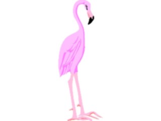 Sticker Custom Preview Image #016795 Animals Birds Flamingo08