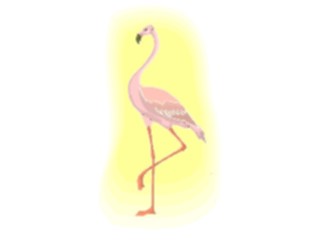 Sticker Custom Preview Image #016801 Animals Birds Flamingo14