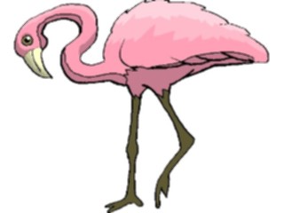 Sticker Custom Preview Image #016803 Animals Birds Flamingo16