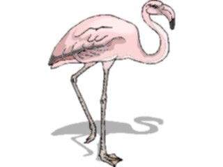 Sticker Custom Preview Image #016804 Animals Birds Flamingo17