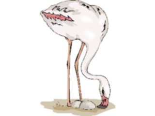 Sticker Custom Preview Image #016805 Animals Birds Flamingo18