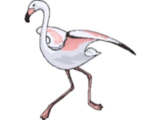 Sticker Custom Preview Image #016806 Animals Birds Flamingo19