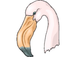 Sticker Custom Preview Image #016807 Animals Birds Flamingo20