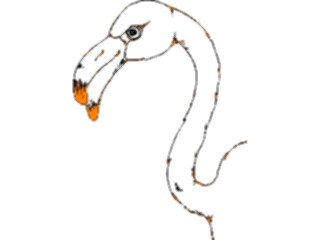 Sticker Custom Preview Image #016809 Animals Birds Flamingo22