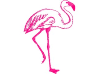 Sticker Custom Preview Image #016810 Animals Birds Flamingo23