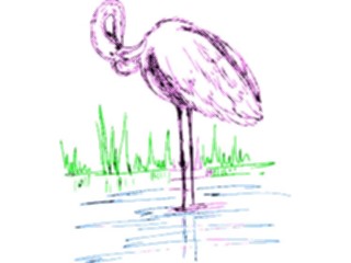 Sticker Custom Preview Image #016811 Animals Birds Flamingo24