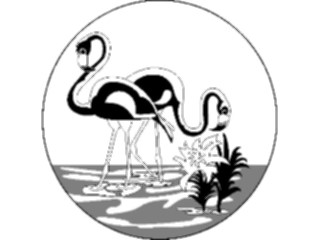 Sticker Custom Preview Image #016812 Animals Birds Flamingos1