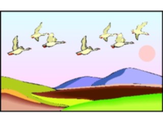 Sticker Custom Preview Image #016846 Animals Birds Geese Flying2