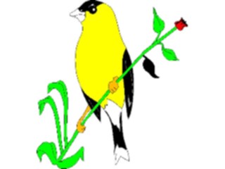 Sticker Custom Preview Image #016850 Animals Birds Goldfinch1